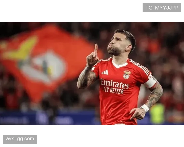 本菲卡防线强势复苏，成争冠关键支柱