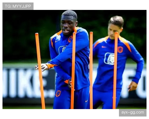 荷兰队防守提升